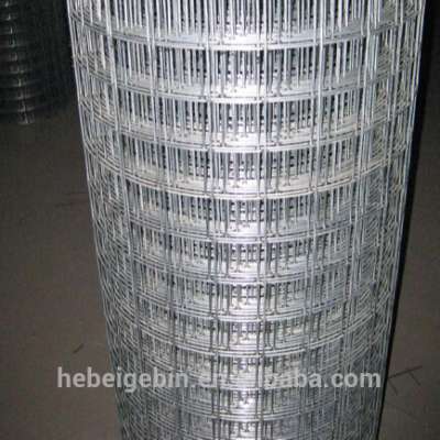 1/4 3/8 1/2 inch 11.5 14  Galvanized PVC Coated Welded Wire Mesh welded wire welded wire