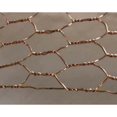 High Quality Brass Hexagonal Wire Mesh/copper chicken wire