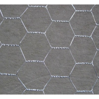 Twisted Galvanized chicken wire netting / pvc coated galvanized hexagonal wire mesh