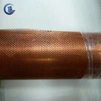 stainless steel/iron/silver/aluminum/titanium/nickel/copper plate Metal wire woven current collect mesh